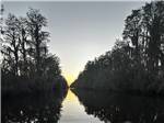 A calm river lined by trees at dusk - thumbnail