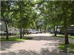 Shaded road leading to sites at Stonebridge RV Park & Resort - thumbnail