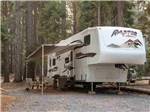 A fifth wheel trailer surrounded by trees at SHELTER COVE RESORT AND MARINA - thumbnail
