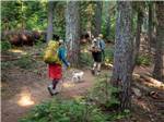 A couple and a dog hiking thru the forest at SHELTER COVE RESORT AND MARINA - thumbnail