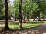 View larger image of Trees providing shade at campsites at HIDDEN SPRINGS RV RESORT image #5