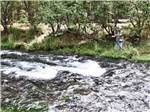 A man fishing in a running stream at HAT CREEK RESORT & RV PARK - thumbnail