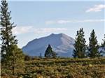 A meadow with a mountain in the distance at HAT CREEK RESORT & RV PARK - thumbnail