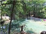 View larger image of The clear water of the river at RIVERBEND ON THE FRIO image #9
