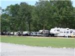 View larger image of Row of RVs parked on-site at RED RIVER RV PARK image #10