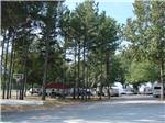 View larger image of Road leading to RV campsites at RED RIVER RV PARK image #12