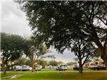 RVs parked in campsites at WILDWOOD RV VILLAGE - thumbnail