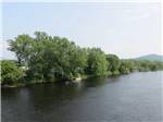 River view with trees on the bank at RIVERSIDE CAMPING & RV RESORT - thumbnail