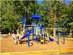 Kids playing at playground at LAKE MYERS RV RESORT - thumbnail