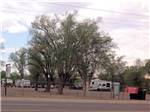 A group of trees in the campground  at OM PLACE RV PARK - thumbnail