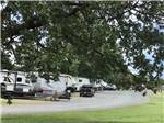 View larger image of Looking thru a tree at the RV sites at VALLEY INN RV PARK image #3