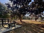 A picnic table in a shaded RV site - thumbnail
