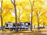A fifth wheel trailer in a gravel site with beautiful trees at ECHO ISLAND RV RESORT - thumbnail