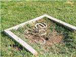 Horseshoe pit - thumbnail