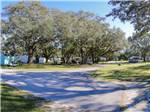 Large trees line the campsites at The Oaks at Zephyrhills - thumbnail