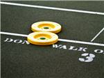 Shuffleboard and pieces to play at The Oaks at Zephyrhills - thumbnail