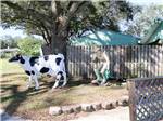 Large yard decorations: a cow and mustached man in hat at The Oaks at Zephyrhills - thumbnail