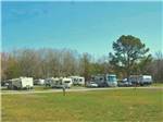 A row of trailers and motorhomes in sites at SPRING CITY RV PARK - thumbnail