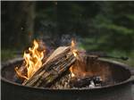 The firewood burning in a pit at SPRING CITY RV PARK - thumbnail