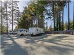 RVs parked under tall trees - thumbnail