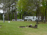 Grassy sites at Flat Creek Marina and RV - thumbnail