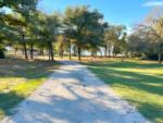 Grass area under trees at Lake Limestone Campground & Marina - thumbnail
