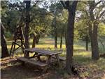 A bench surrounded by tall trees at HIDDEN LAKE RV RANCH & SAFARI - thumbnail