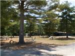 View larger image of Picnic tables with volleyball net in distance at HOLLY ACRES CAMPGROUND image #6