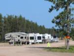 RVs near trees at Chocolay River RV & Campgrounds - thumbnail