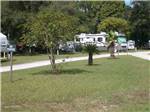 View larger image of A grassy area in front of some RV sites at LOST LAKE RV PARK image #2