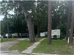 A group of RV sites in trees at LOST LAKE RV PARK - thumbnail