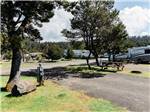 Couple riding bicycles at HART'S CAMP AIRSTREAM MOTEL & RV PARK - thumbnail