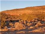 The desert landscape at KAIBAB PAIUTE TRIBAL RV PARK - thumbnail