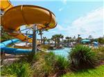 View larger image of A view of one of the paved sites at SPLASH RV RESORT  WATERPARK image #6