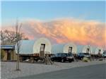 View larger image of A row of rental glamping Conestoga Wagons at VERDE RANCH RV RESORT image #7