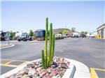 View from the parking lot at Deer Valley RV Park - thumbnail