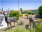 Artificial deer at Deer Valley RV Park - thumbnail