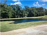 View larger image of Calm watering hole surrounded by grassy lawn at GREEN TREE RV PARK  CAMPGROUND image #1