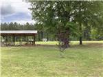 View larger image of A covered pavilion with trees at GREEN TREE RV PARK  CAMPGROUND image #8
