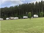 View larger image of A grassy area next to RV sites at GREEN TREE RV PARK  CAMPGROUND image #9