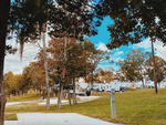 View of the park at Rio RV Park - thumbnail