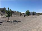 Empty RV sites with trees at DESERT VIEW RV PARK - thumbnail
