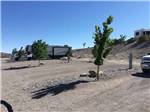 View larger image of Back in gravel RV sites at CEDAR COVE RV PARK TOO image #8