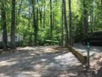 One of the gravel sites surrounded by tall trees at JENNY'S CREEK FAMILY CAMPGROUND - thumbnail