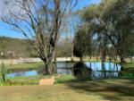 Lake at site Willow Valley RV Resort - thumbnail