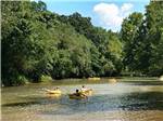 View larger image of People floating on yellow inner tubes at BIG WILLS CREEK CAMPGROUND  TUBING image #1