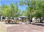 Picnic area with wooden tables and canopy at ST JOHNS RV RESORT - thumbnail