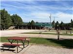 Picnic tables - thumbnail