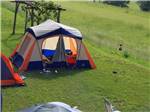 View larger image of A group of tents in grass at JUST PLANE ADVENTURES LODGING  CAMPGROUND image #9