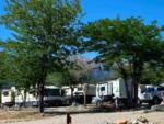 Motorhomes and trailers parked in sites at BLACK BEAR RETREAT - thumbnail